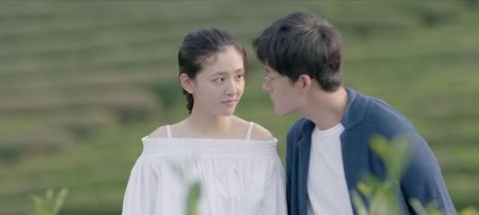 卡通骆驼救援